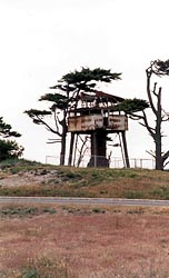 Lookout Tower