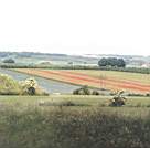 london99-countryside.jpg